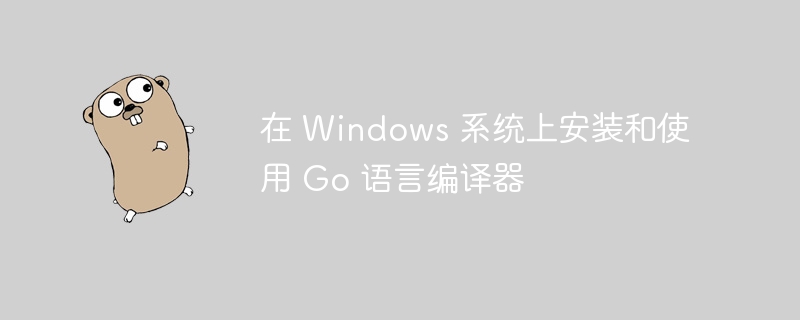 在 Windows 系统上安装和使用 Go 语言编译器