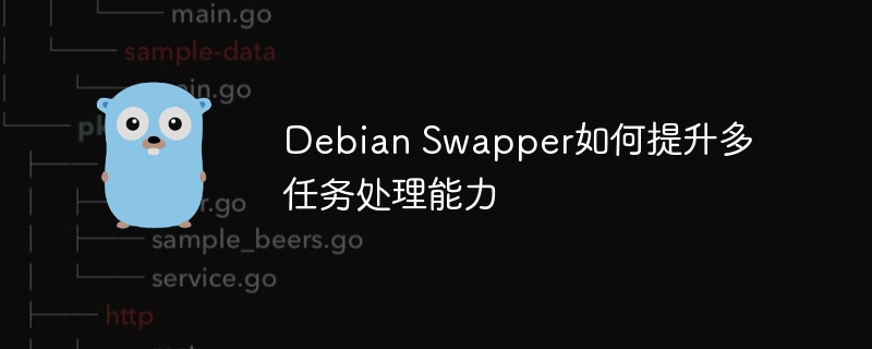 DebianSwapper优化提升多任务性能详解
