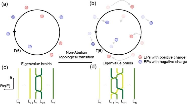 单自旋非厄米研究获突破，中国科大再登前沿