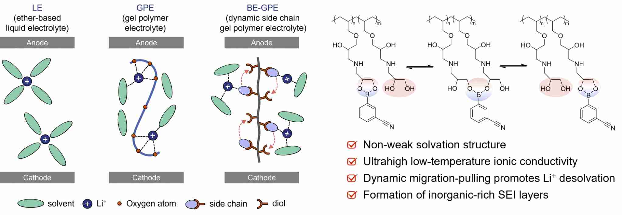 大连理工大学科研团队在低温准固态锂硫电池领域取得新进展