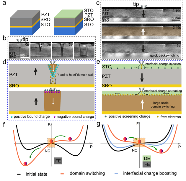 中山大学：张溢副教授课题组利用原位透射电子显微镜在负电容效应的畴动力学方面取得新进展