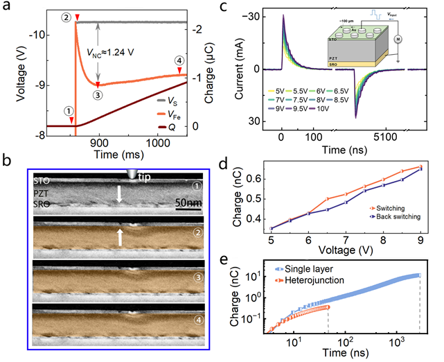 中山大学：张溢副教授课题组利用原位透射电子显微镜在负电容效应的畴动力学方面取得新进展