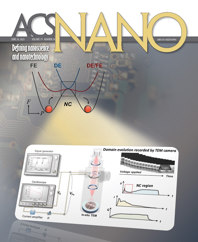 张溢团队原位电镜揭示负电容畴动力学