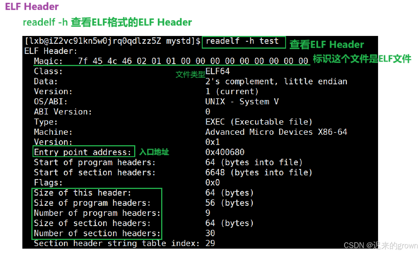 深入了解linux系统—— 库的链接和加载