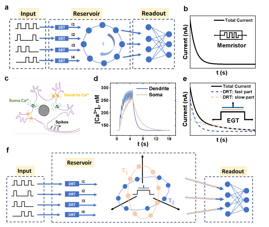 中国科大类脑器件突破性进展