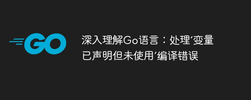 Go语言未使用变量错误解决方法