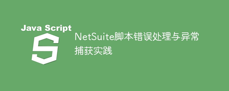 NetSuite脚本错误处理与异常捕获实践