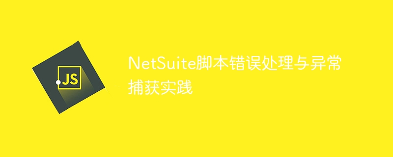 NetSuite脚本错误处理与异常捕获方法
