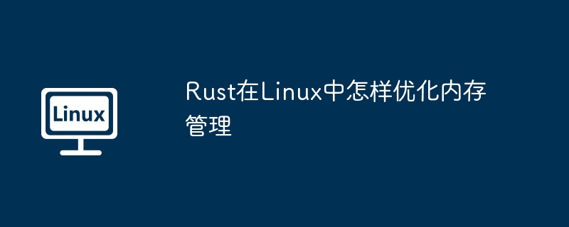 RustLinux内存优化技巧全解析