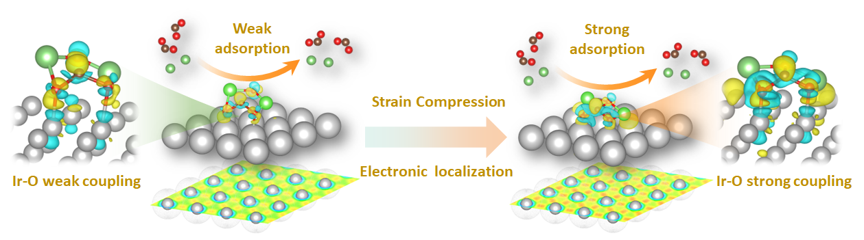西安交大锂二氧化碳电池研究突破