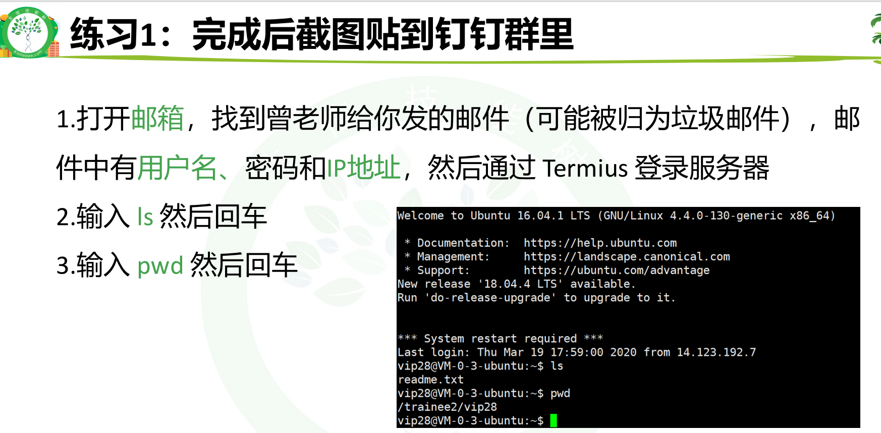 Linux 零基础入门 DAY12