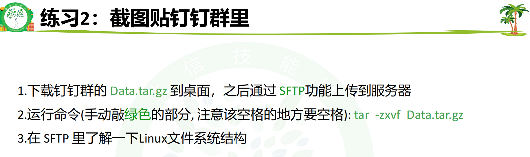 Linux 零基础入门 DAY12