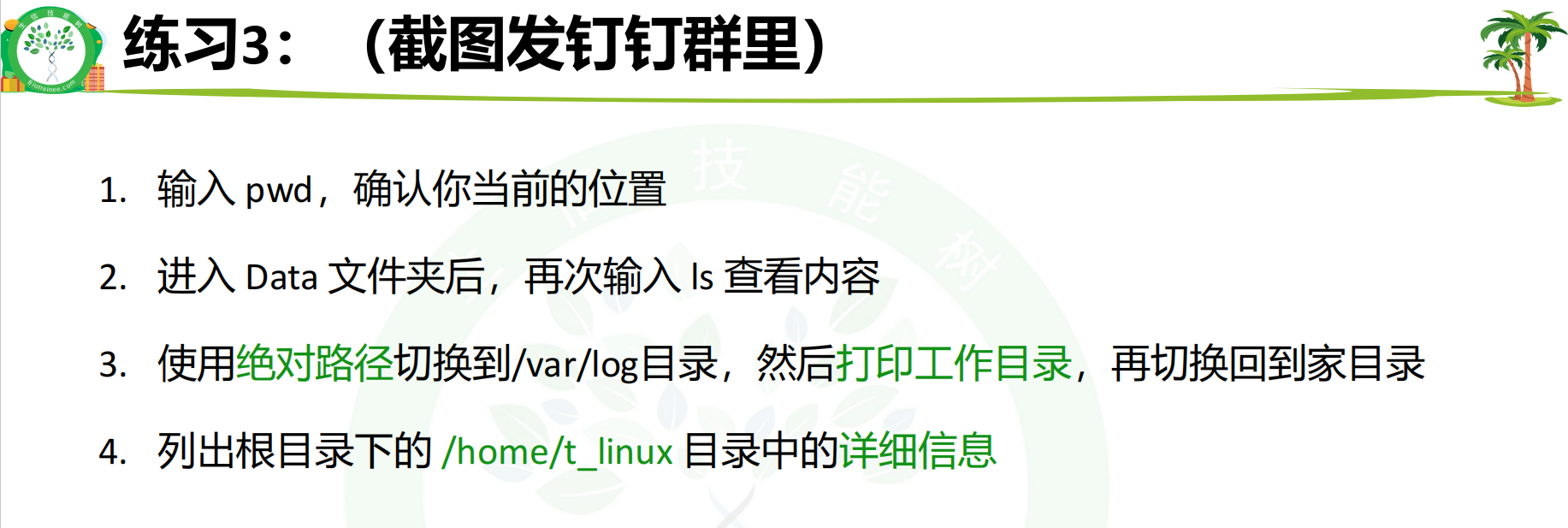 Linux 零基础入门 DAY12