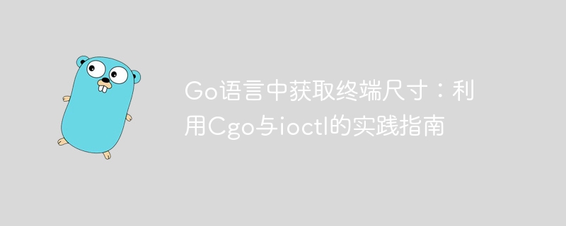 Go语言中获取终端尺寸:利用Cgo与ioctl的实践指南