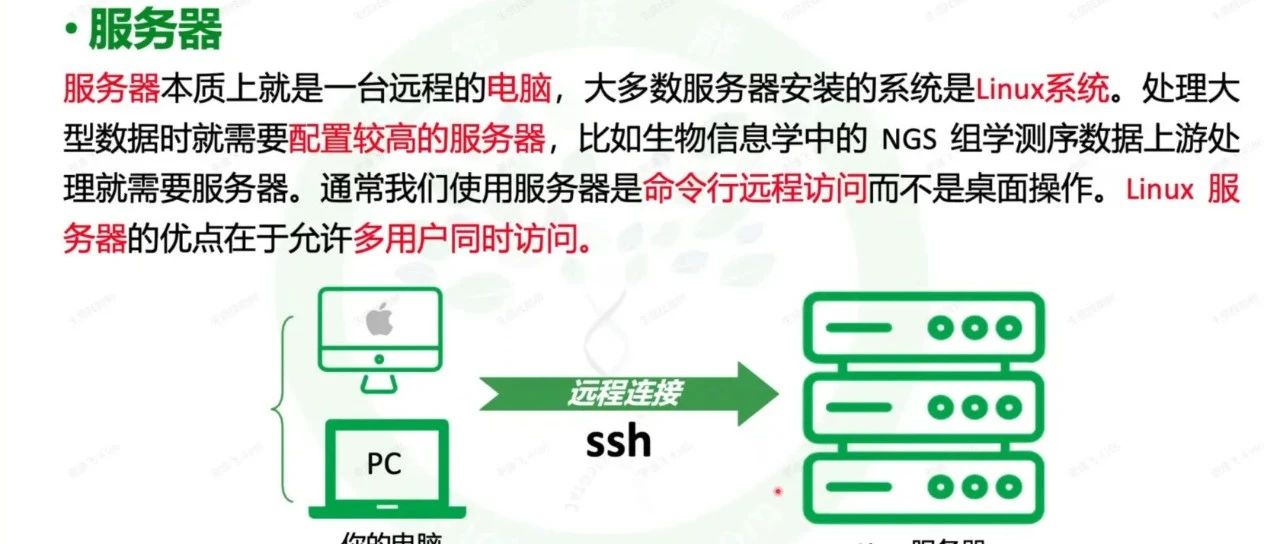 服务器为何重要？Linux入门必读