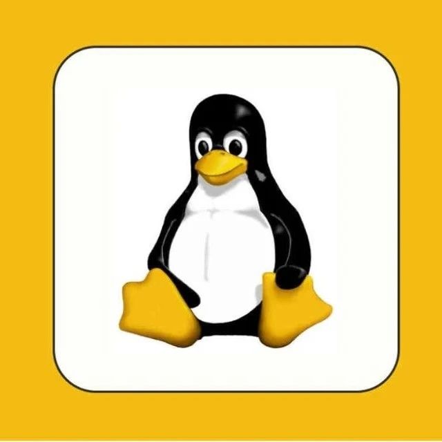 Linux服务器端口访问问题排查教程