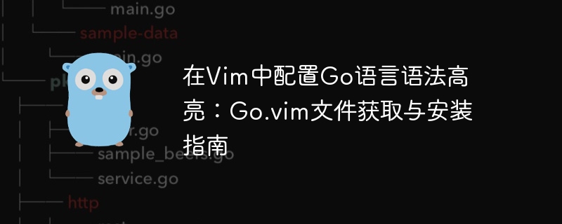 Vim配置Go高亮：Go.vim安装教程