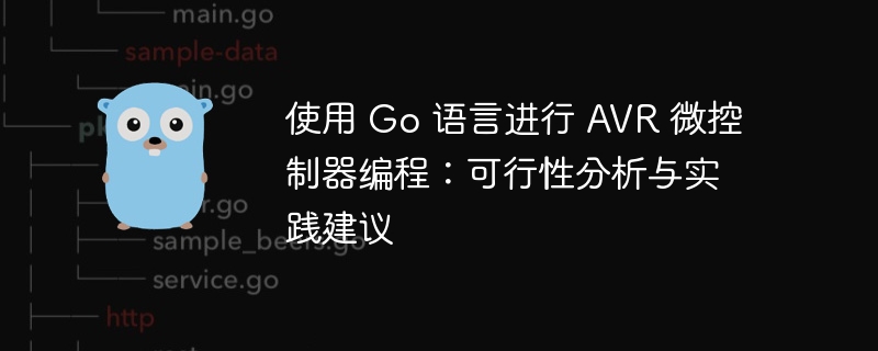 使用 Go 语言进行 AVR 微控制器编程：可行性分析与实践建议