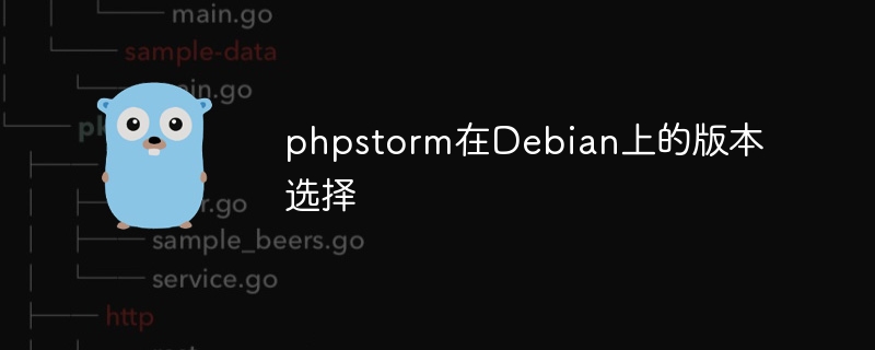 PHPStormDebian版怎么选？
