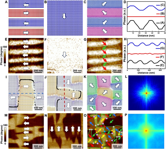 北理工团队在铁电拓扑结构研究中取得重要进展