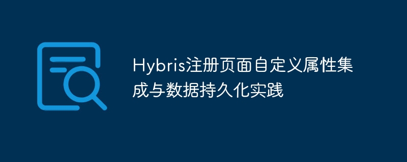 Hybris注册页面自定义属性集成与数据持久化实践
