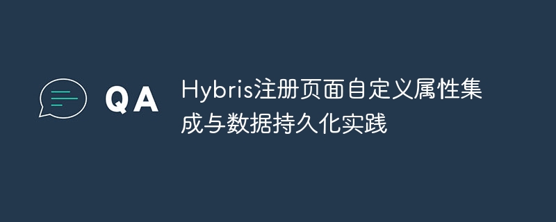 Hybris自定义属性集成与数据存储教程