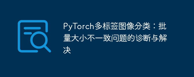 PyTorch多标签分类：批量大小不一致处理方法