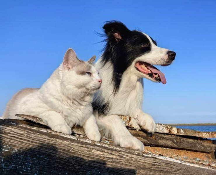 暑假出门带它太香了！华为Mate X5优惠4000元，现在入手正合适