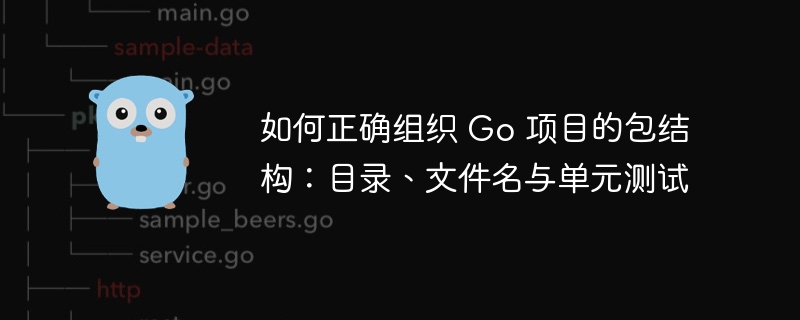 Go项目包结构详解：目录命名与测试规范