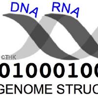 Functional Genomics