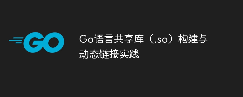 Go语言共享库（.so）构建与动态链接实践
