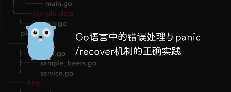 Go语言错误处理与panicrecover技巧