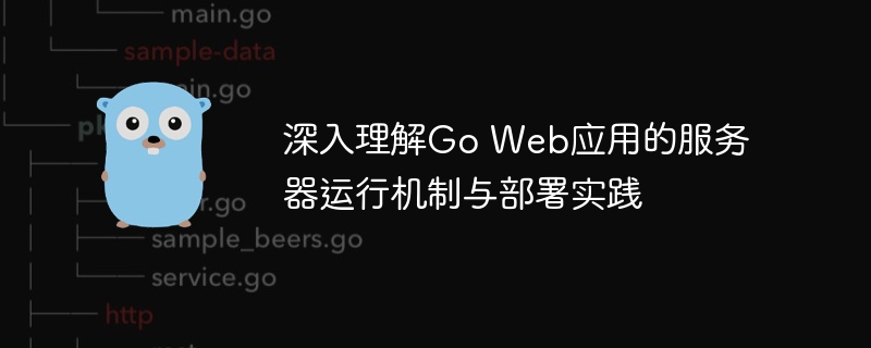 Go应用服务器部署与运行全解析