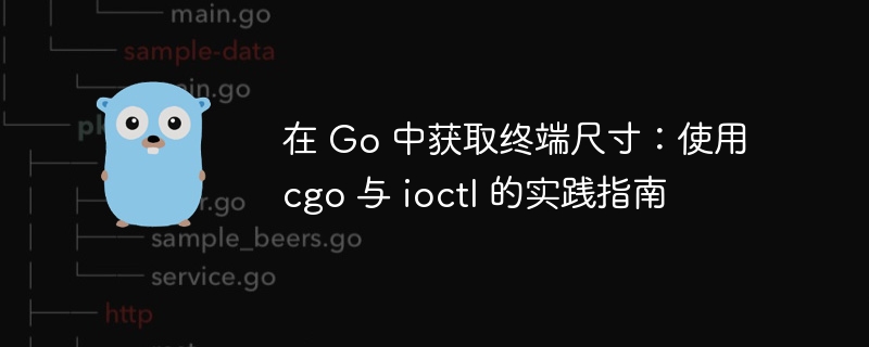 Go获取终端大小：cgo与ioctl实战教程