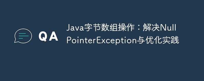 Java字节数组操作：解决NullPointerException与优化实践
