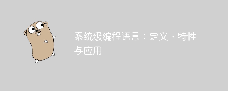 系统编程语言有哪些及应用解析