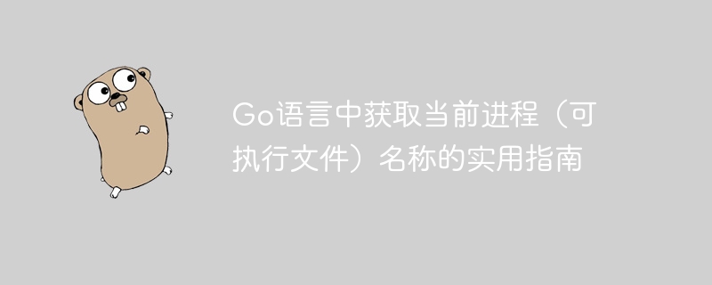 Go语言中获取当前进程（可执行文件）名称的实用指南