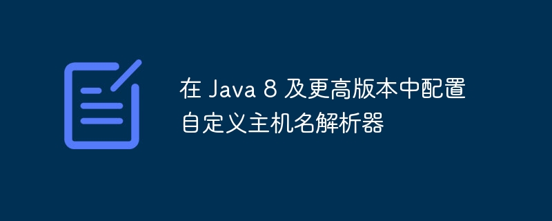 Java8自定义主机名解析设置方法