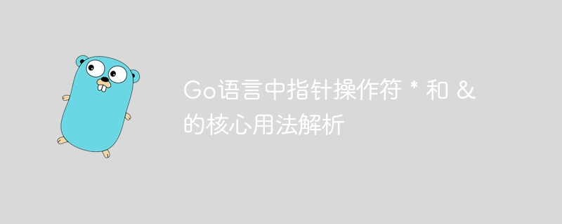 Go语言中指针操作符 * 和 & 的核心用法解析
