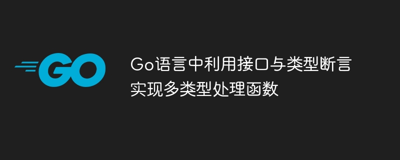 Go语言接口与类型断言应用技巧