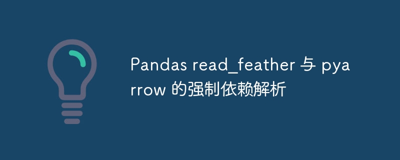 Pandas read_feather 与 pyarrow 的强制依赖解析
