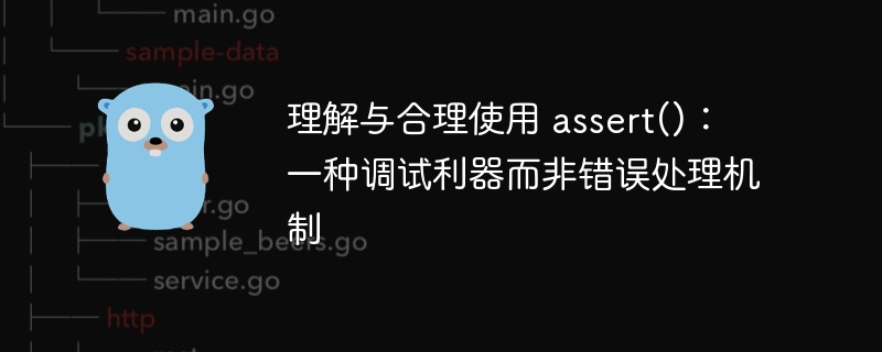 assert()：调试专用，非错误处理工具