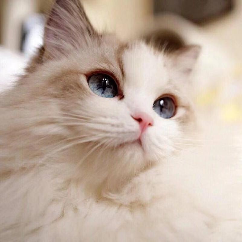 XGeorge-vscode-extension-pack