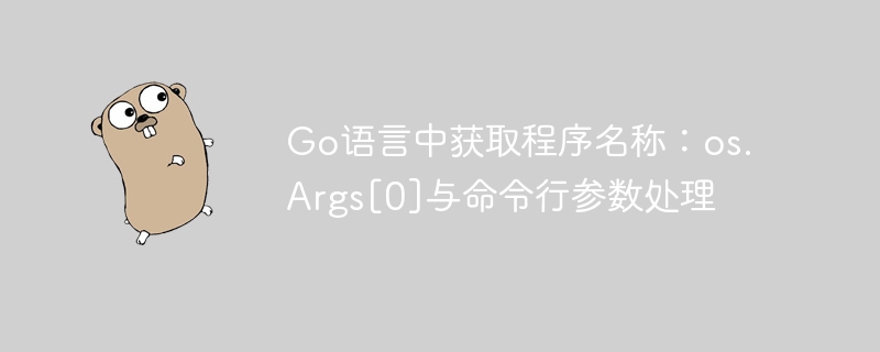 Go语言中获取程序名称：os.Args[0]与命令行参数处理
