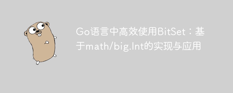 Go语言高效BitSet用法与优化技巧