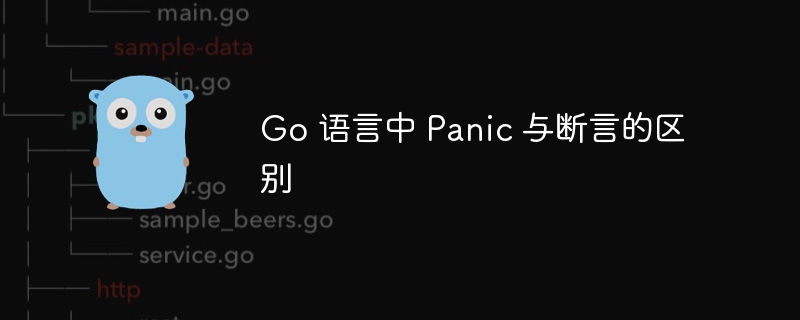 Go中Panic与断言的区别解析