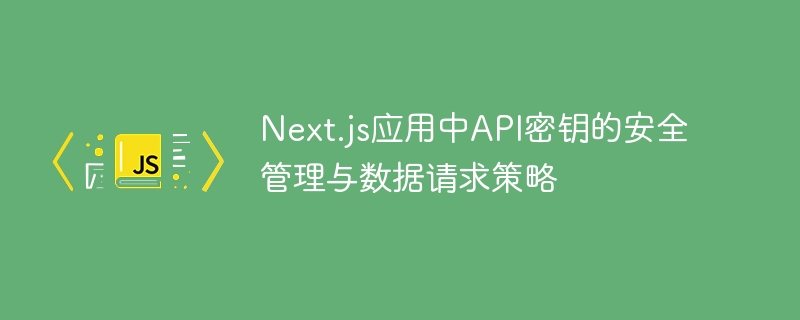 Next.jsAPI密钥安全与请求技巧