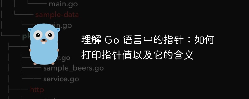 Go语言指针怎么用？打印与意义全解析