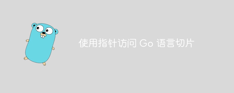  使用指针访问 Go 语言切片

