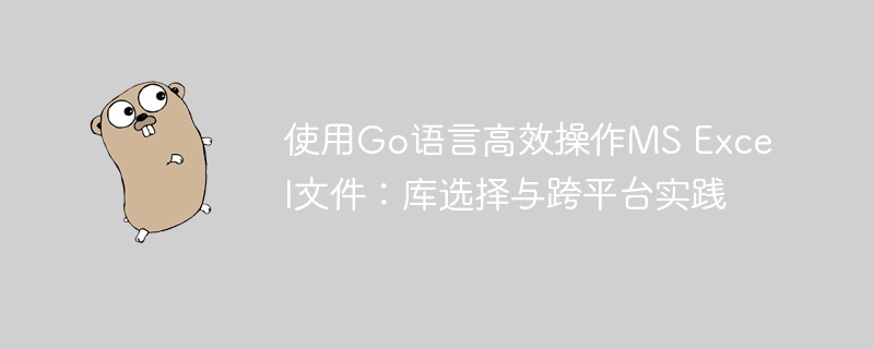 使用Go语言高效操作MS Excel文件：库选择与跨平台实践